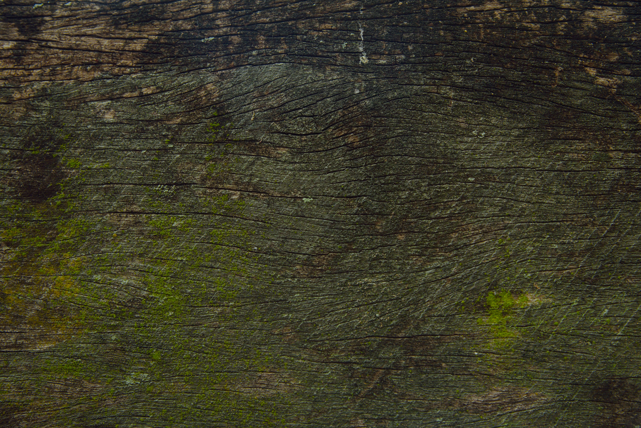 Startseite NatureRooms