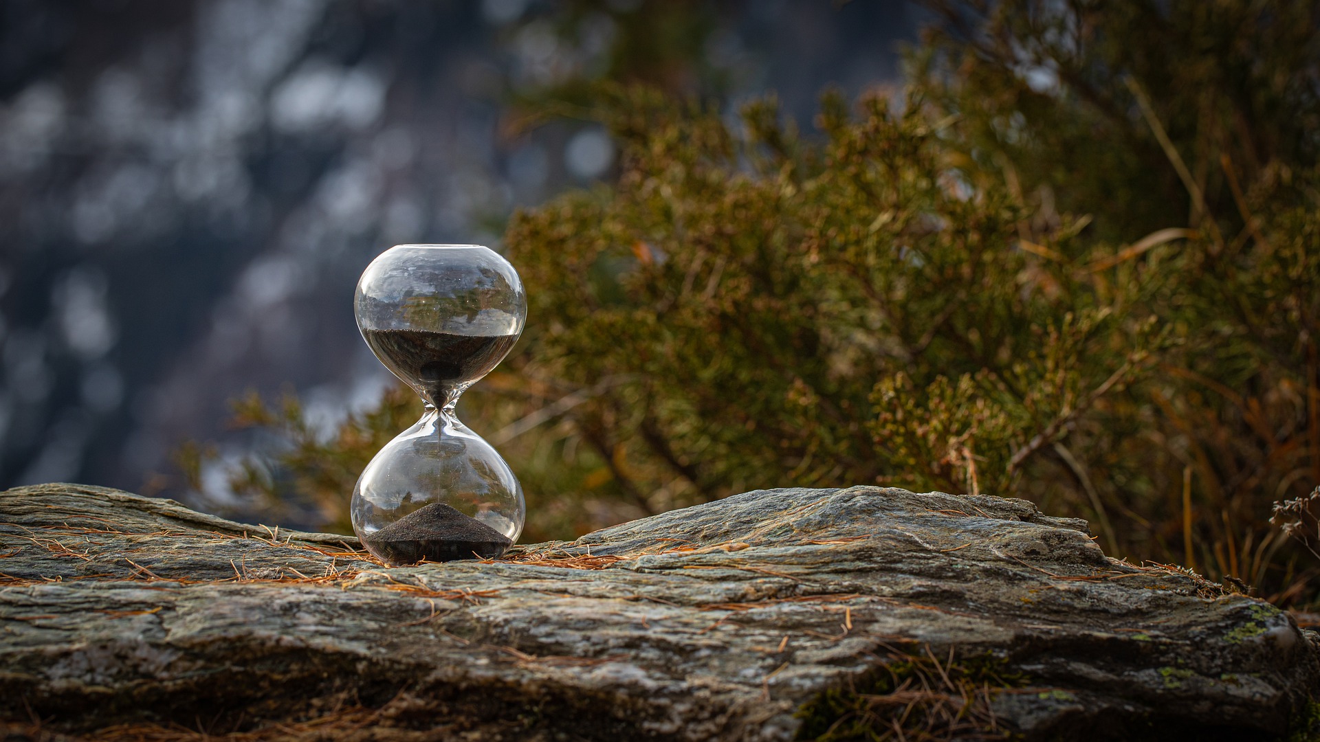 Der Countdown läuft NatureRooms