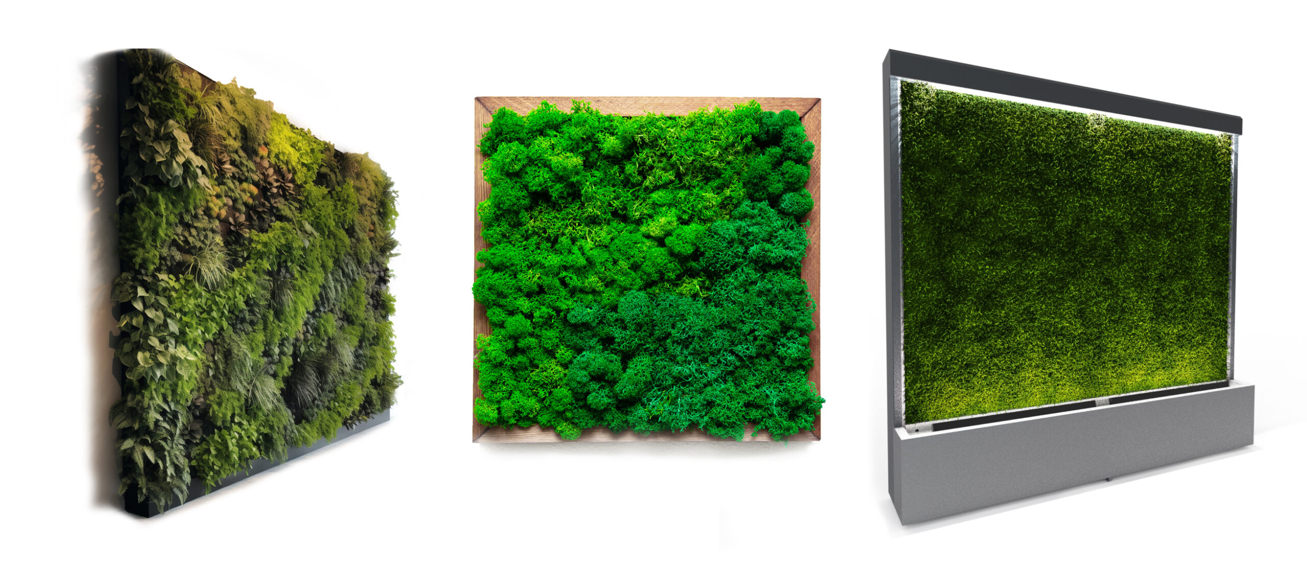 Pflanzenwände vs. Mooswände ein Vergleich NatureRooms